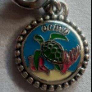 Pandora   sea turtle Town of Ocean City Exclusive Charm